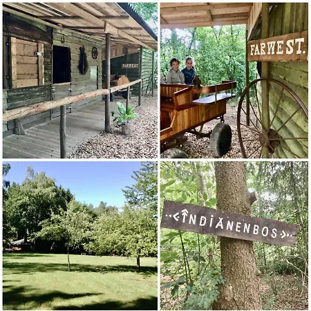 شاليه Unique Norwegian Chalet With 2Ha Private Garden, Sauna, Bbqhut And Many Facilities! Harre