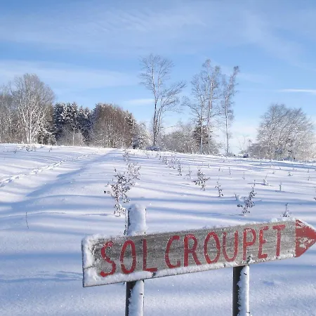 Unique Norwegian Chalet With 2Ha Private Garden, Sauna, Bbqhut And Many Facilities! شاليه Harre